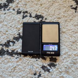 Portable Scale