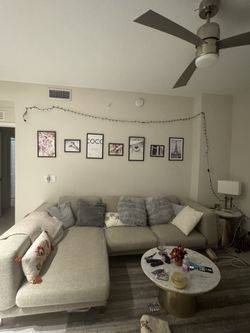 Couch Needed Out