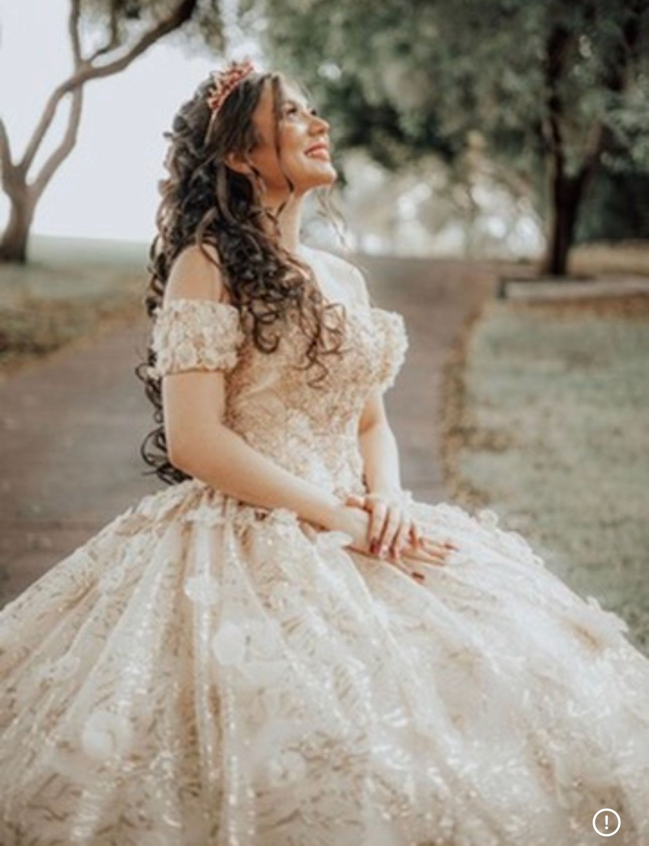 Beautiful Quinceanera Dress with Crinoline