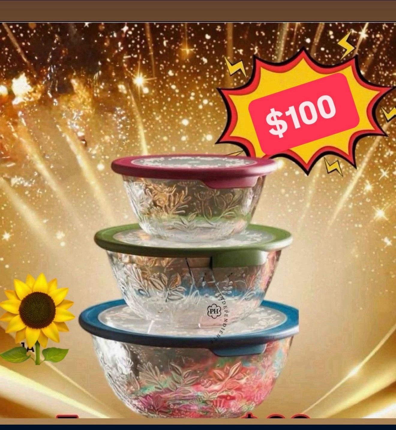 Set De 3 Conteiner Guarda Comidas Postres Ensaladas para Hornear $100.00 Especial Princess House Ventas finales