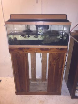 Fish tank