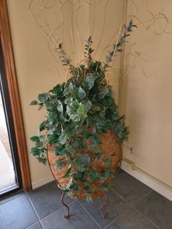 Decorative plant