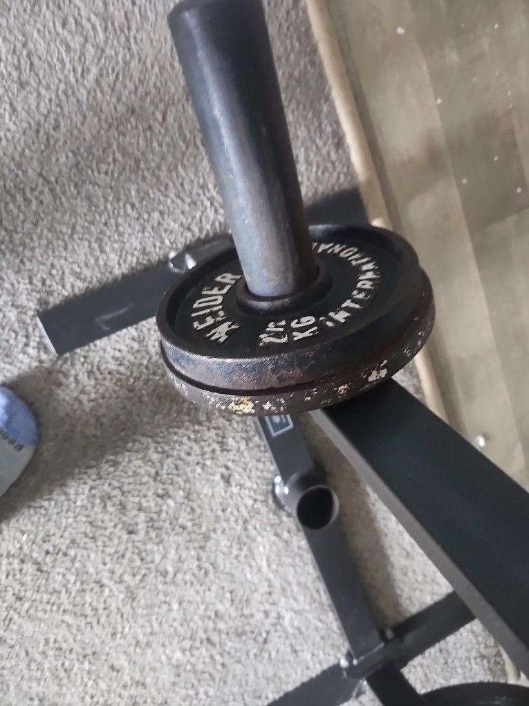 5.5lb Olympic Weights