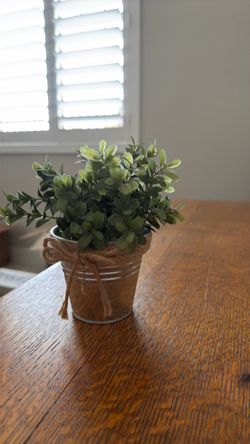 Faux Greenery Plant in Metal Pot