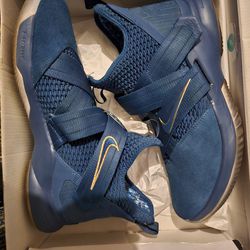 Nike Lebron Soldier Shoes