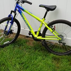 Mens/Boy's Mountain Bike