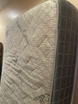 Organic Cotton Twin Mattress With A Loft Bed Frame