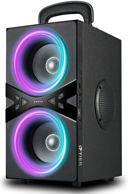 Yier 80 Watt Party Speaker