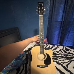 6 String Guitar 