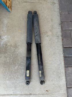 Ford F-150 rear shocks