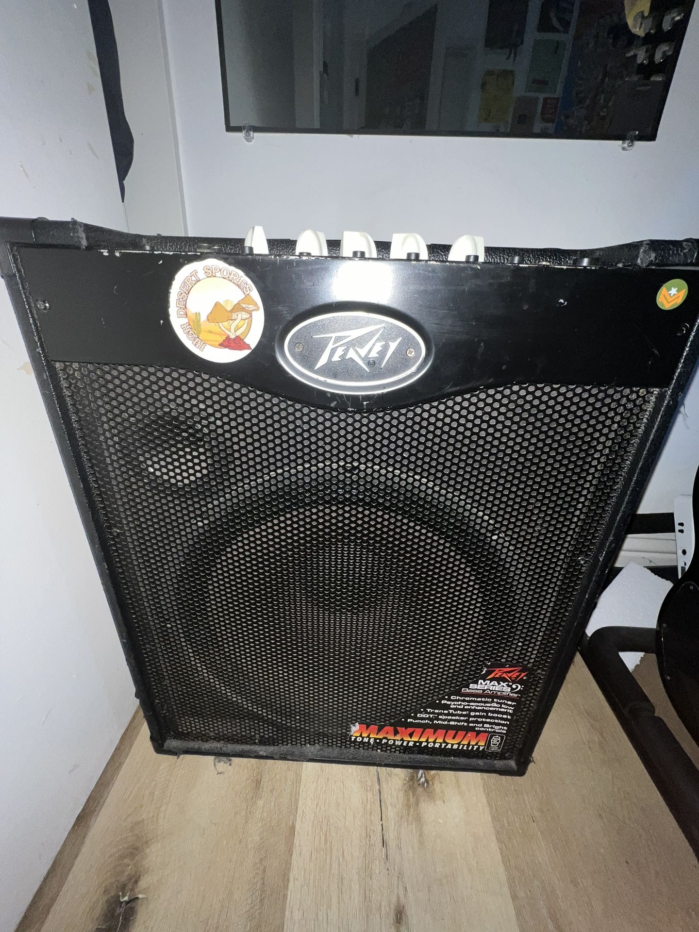 Peavey Max 115