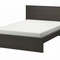 IKEA Malm Black Queen Platform bed