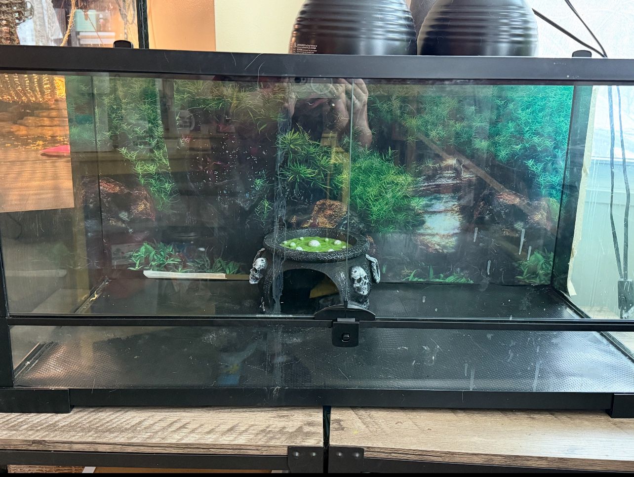 40 Gallon Reptile Tank
