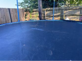 Zupapa 14 ft Trampoline