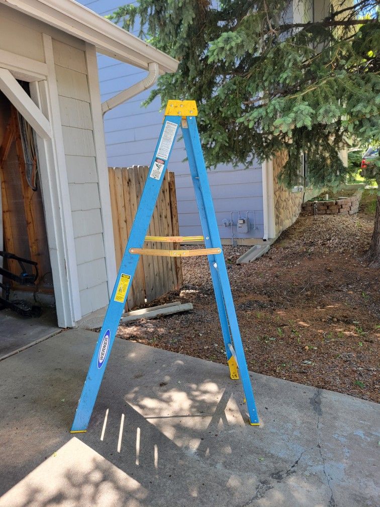 Werner 6' Ladder