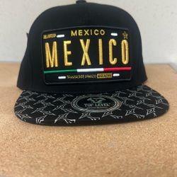 Hat (Brand New)