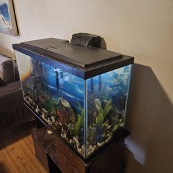 33 Galon Tank with Filter ,Heater And stand 