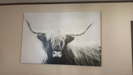 Cow frame