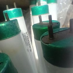 Florescent 4' Bulbs 
