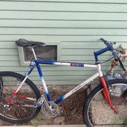 Vintage Asahi Mountain Bike