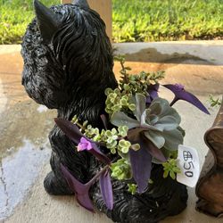 Large Dog Succulent Planter