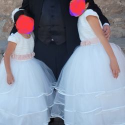Dress ( Vestidos )