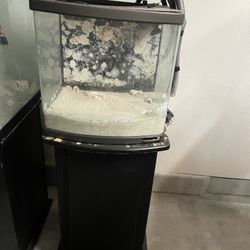 24 gal Nano cube Fish tank