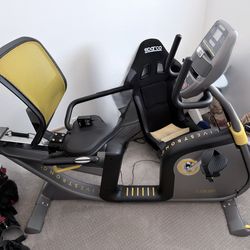 Livestrong LS6.0R Recumbent Exercise Bike