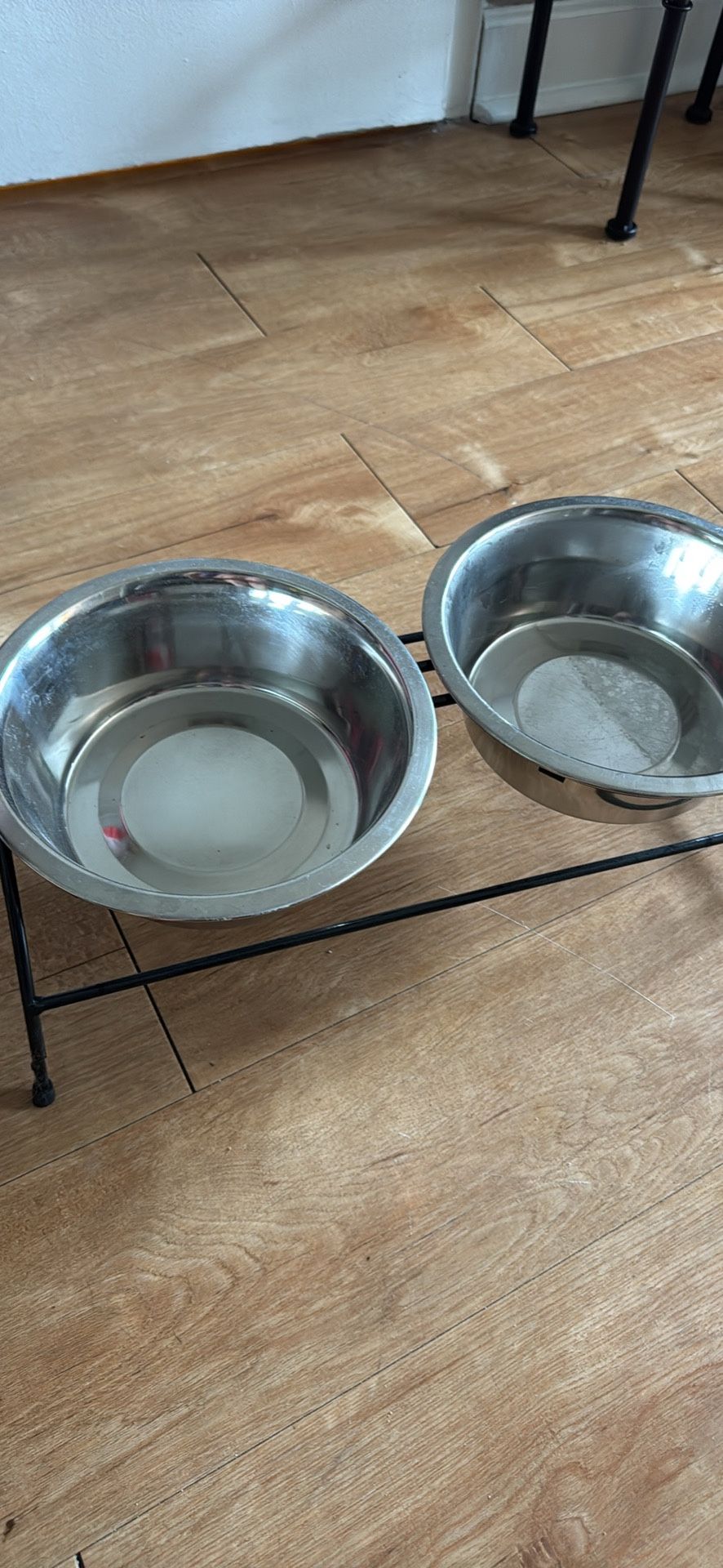 Dog Bowl