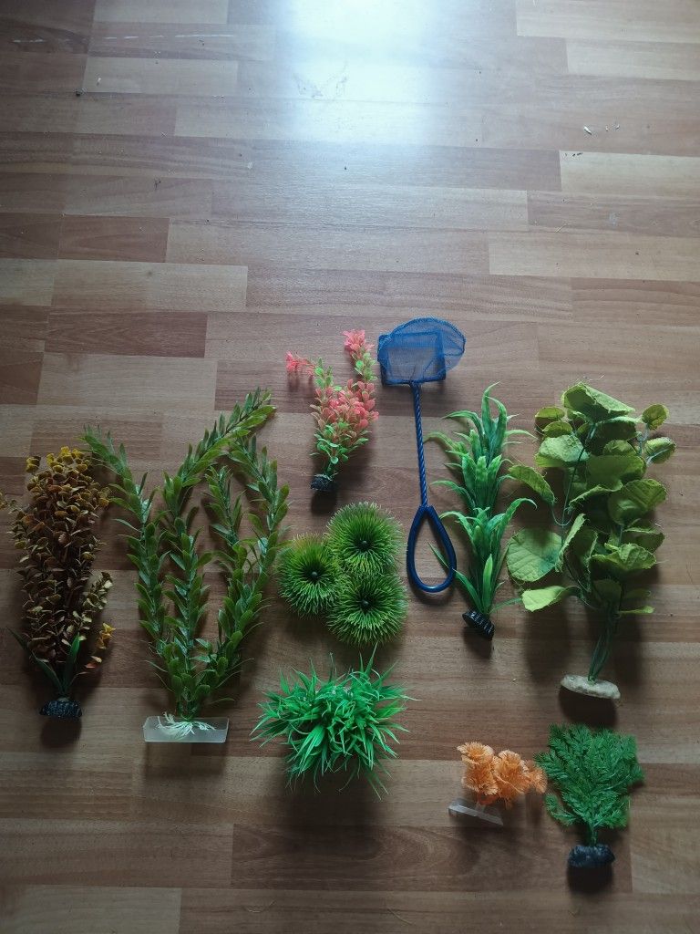 Accessories Fish Tank $5 All👉 Available In DeSoto
