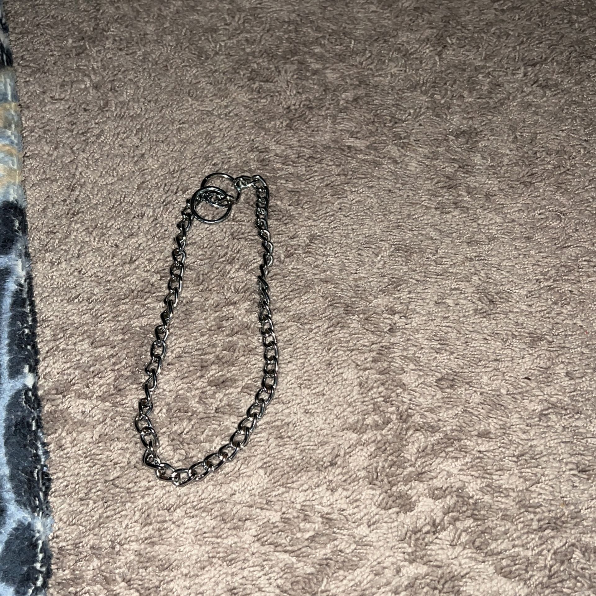 Dog Metal Collar