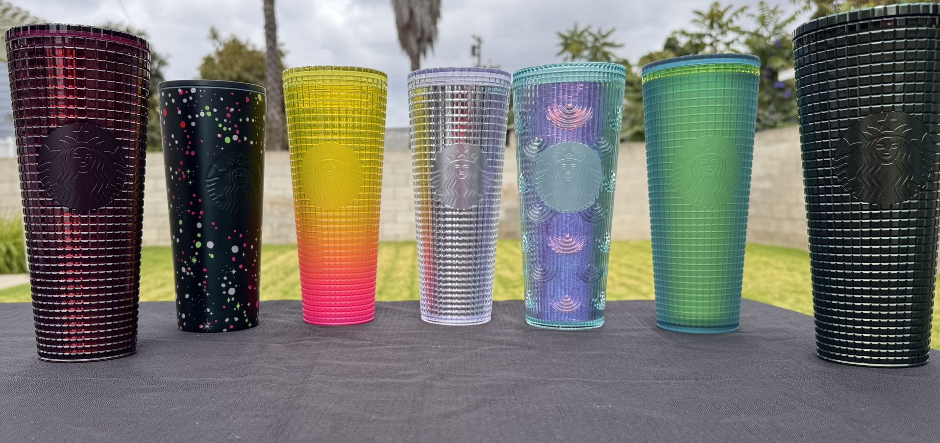 Starbucks Cups