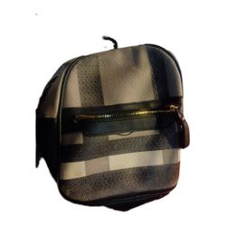 Small Purse Backpack