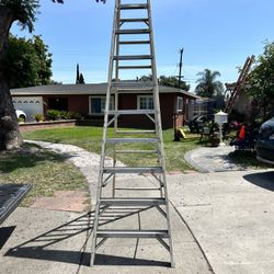 Ladder 10 Ft