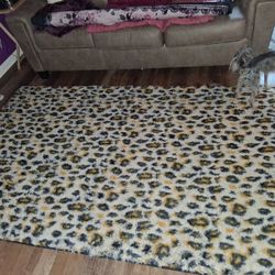 5x 7 Area Rug For Sale