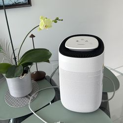 Tenergy Air Purifier + Dehumidifier – HEPA Filter