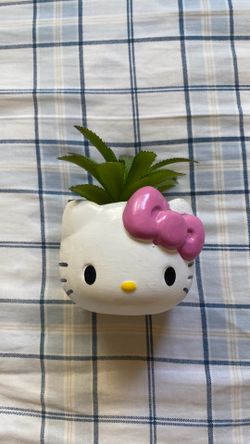 Hello Kitty Plant