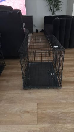 dog cage