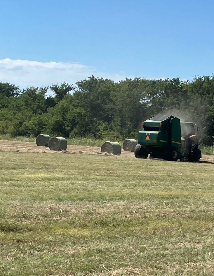 Hay For Sale