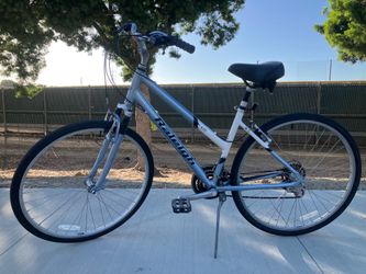 Raleigh C30 Step-Through Hybrid Bike (700c tires - 19” frame)
