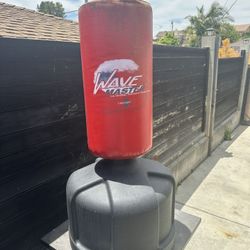 Century Wave Master Punching Bag