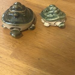 Small And Big Turtle