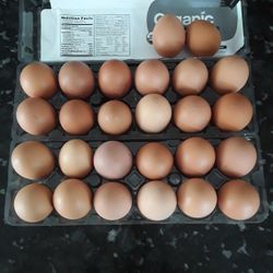 Eggs. Fresh organic Brown Eggs. Free Delivery If You Buy 3 dozen Or more. 