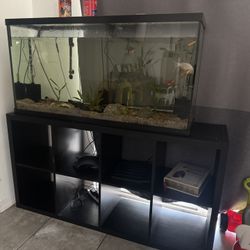 fishtank with stand