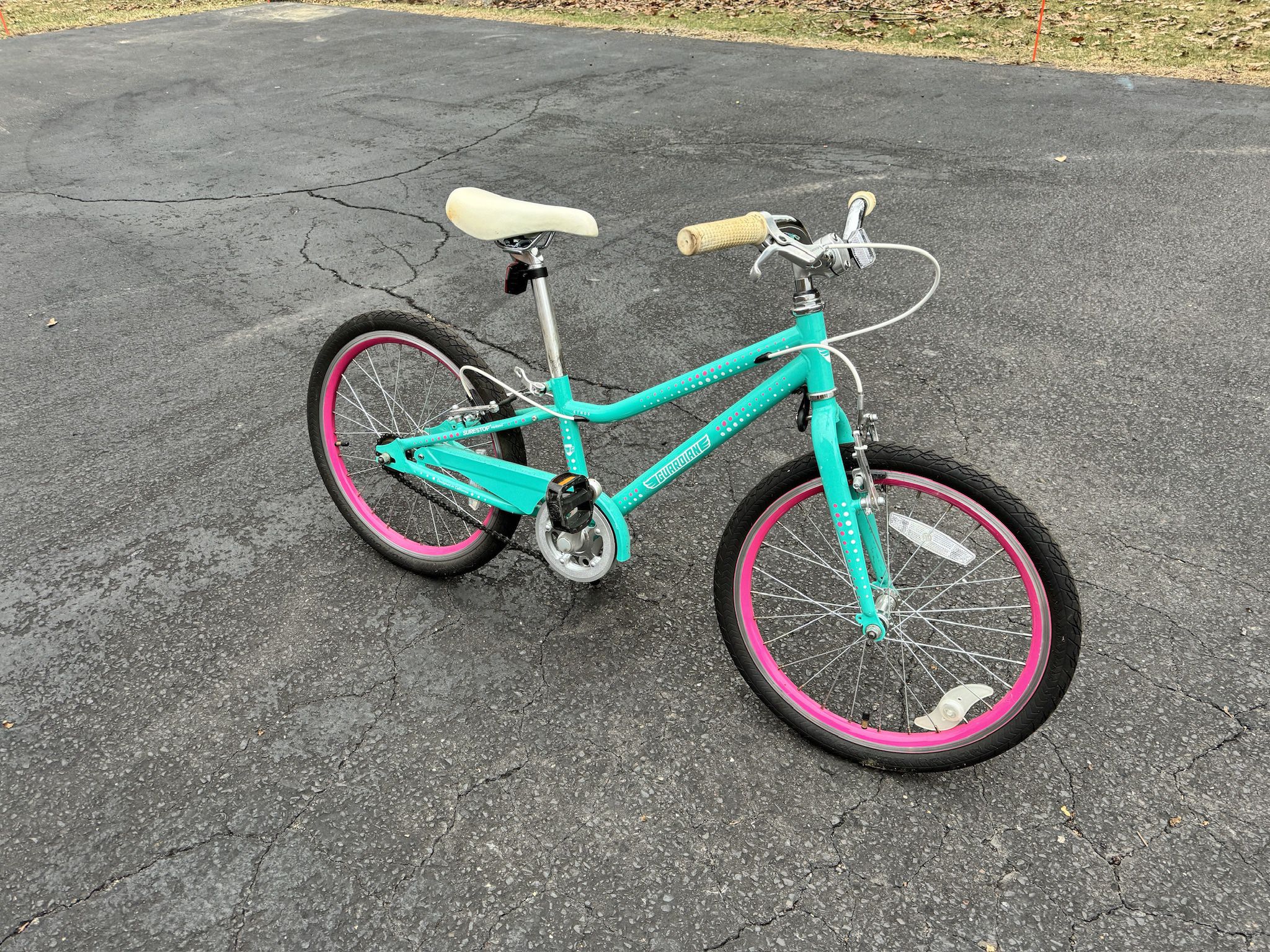 20'' Guardian Bike Aqua/Pink