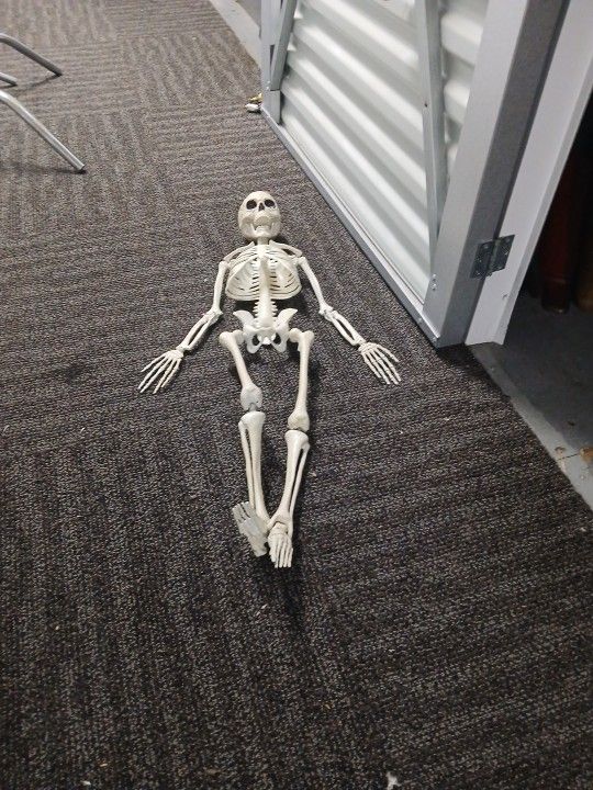 Skelliton Plastic