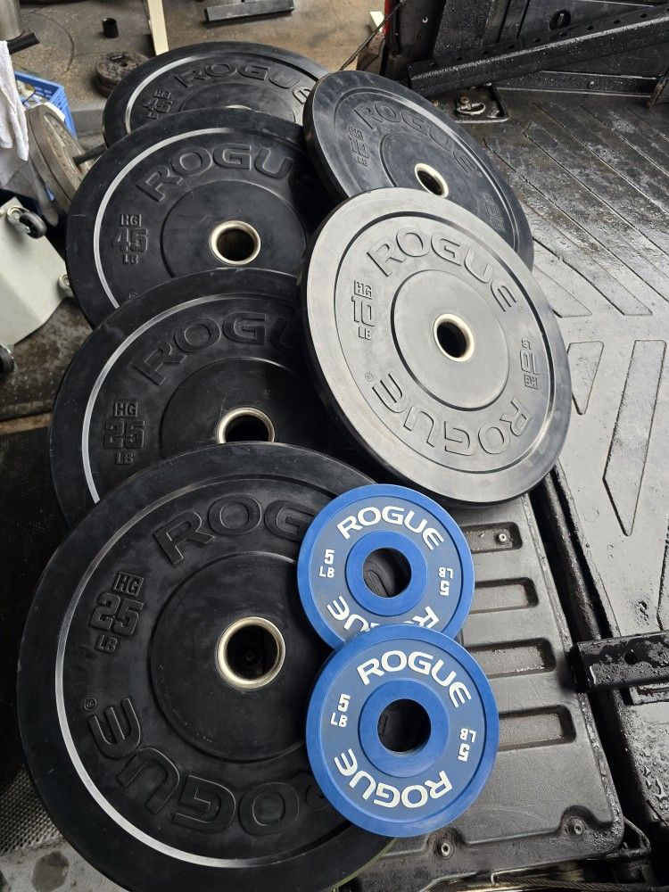 Weight Rogue Bumper Plates