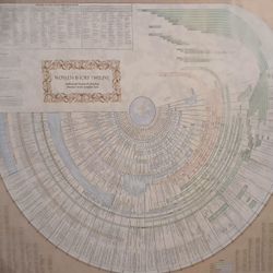Visquar - Bible & World History Timeline (Standard 37" X 45")