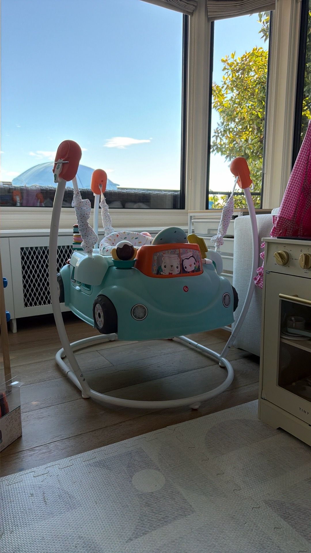 Fisher-Price 2-in-1 Sweet Ride Jumperoo Activity Center & Learning Toy for Infant and Toddler
