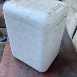 Free Foam Cooler Great For Fishing Trips